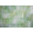 Película Decorativa Folhas Verdes com fundo Branco Detalhe